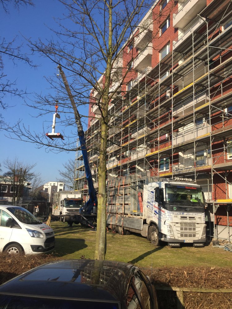 Hohner Gerüstbau Firma und Geschichte